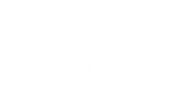 Sell your Jaguar Online with Premium Car Buyers